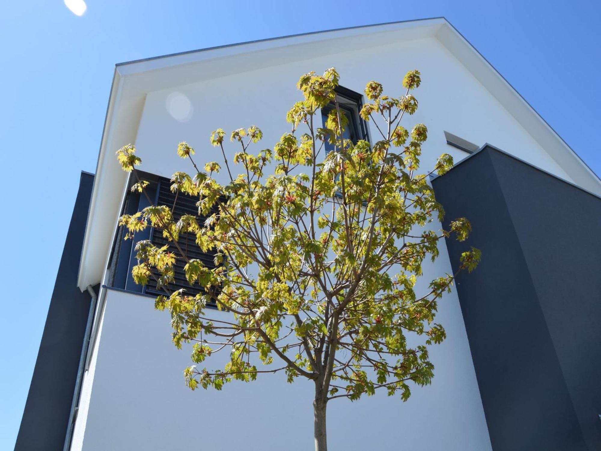 Kapps Haus Langenargen Exterior foto